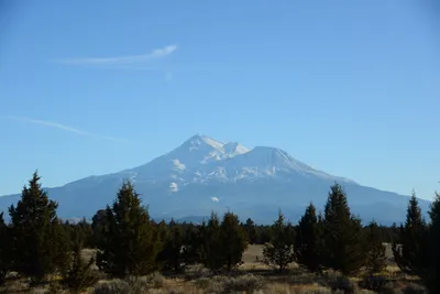 DSC_2980 (Large).JPG